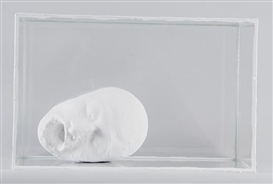 Terence Koh, Untitled (Whitehead)