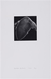 Balthasar Burkhard, Schnecke, 1991-92