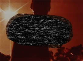 Pipilotti Rist, Das Immunsystem, 1999