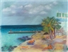 Carlos Almaraz, Cozumel