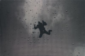 Eva Schlegel, Untitled