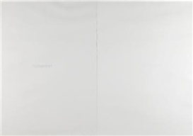 Claudio Parmiggiani, Untitled, (2 parts)