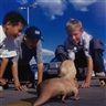 Patricia Piccinini, Social Studies from So2 Series