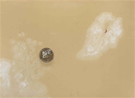 Pier Paolo Calzolari, Untitled