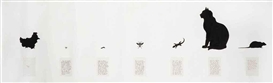 Mark Dion, Concentration