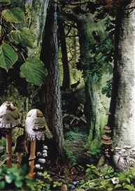 Ruud van Empel, Study in Green #16
