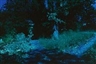 Joachim Koester, Path/ The Ramparts no. 4