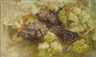Giovanni Segantini, Still life with grapes