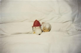 Felix González-Torres, Untitled