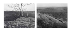 Peter Campus, Two works : Boundary; Crossing