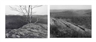 Peter Campus, Two works : Boundary; Crossing