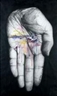 Annette Messager, MES TROPHEES,( DYPTIQUE)