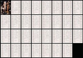 Hanne Darboven, 31-part work: UNTITLED (MANICHINO)