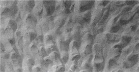Felix González-Torres, Untitled (for Parkett)