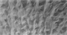 Felix González-Torres, Untitled (for Parkett)