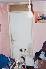 Richard Billingham, Untitled (NRAL 8)