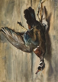 Odgen M. Pleissner, Wood Duck Still Life