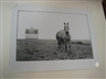 Robbert Flick, ILLINOIS LANDSCAPE