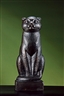 Renee Yunnel-nikel, Cat