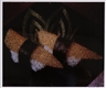 Ellen Brooks, SUSHI