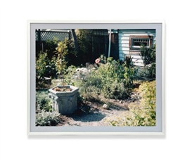 Jeff Wall, Poppies in a Garden