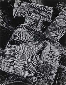 Nathan Lyons, Abstraction