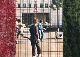 Ian Wallace, In the Street (The Brussels Series III)