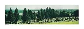 Jeff Wall, The Jewish Cemetery