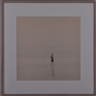 Bill Jacobson, INTERIM LANDSCAPE 186-8