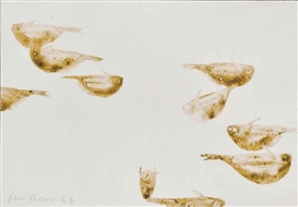 Alexis Rockman, Untitled (Fish)
