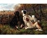 G. Manvers, 2 Works: Three gundogs on the moor, spaniels with the days bag