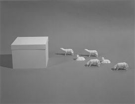 Katharina Fritsch, Schafe und Weißer Pappkarton (Sheep and White Cardboard Box), 1991