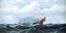 James Hamilton, Ships in a Gale