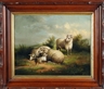 Susan Catherine Moore Waters, Sheep
