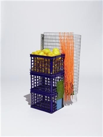 Jessica Stockholder, Multiple Products