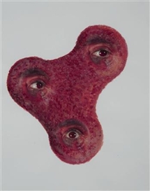 Tony Oursler, Scar