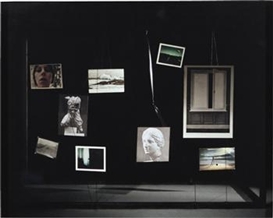 Sara Vanderbeek, The Field Glass