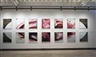 Rashid Rana, Twenty-eight panels: I Do Not Always Feel Immortal