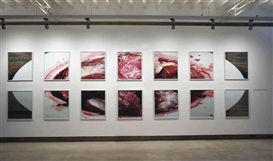 Rashid Rana, Twenty-eight panels: I Do Not Always Feel Immortal