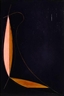 Harvey Quaytman, Sinew and Skin
