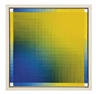Peter Schuyff, Untitled