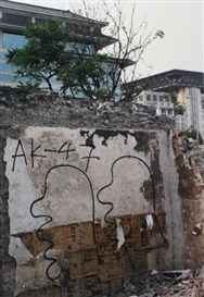 Zhang Dali, Demolition 54A