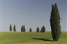 Tal Israel, Untitled