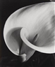 Photographs - Phillips New York, Upper East Side