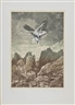 Tom Phillips, Icarus