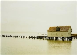 Elger Esser, Willapa Bay, USA, 2007