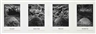 Hamish Fulton, East, South, West, North