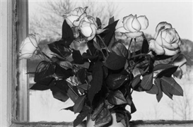 Lee Friedlander, 2 works: Montreal and Taos, New Mexico