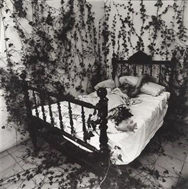 Joan Fontcuberta, Ohne Titel