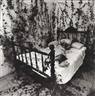 Joan Fontcuberta, Ohne Titel